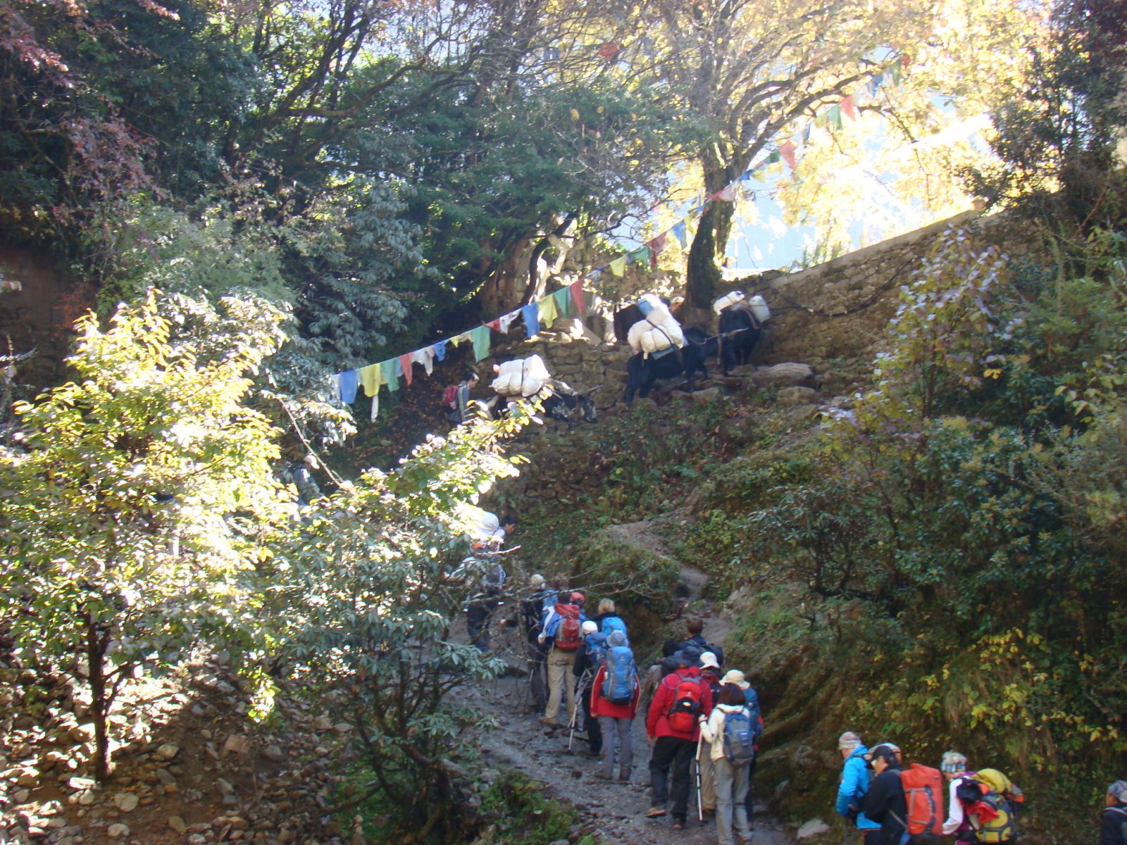 Trekkers heading to Everest Base Camp Trek face certain difficulty level